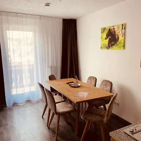 Hotel Panorama Willingen (Upland)